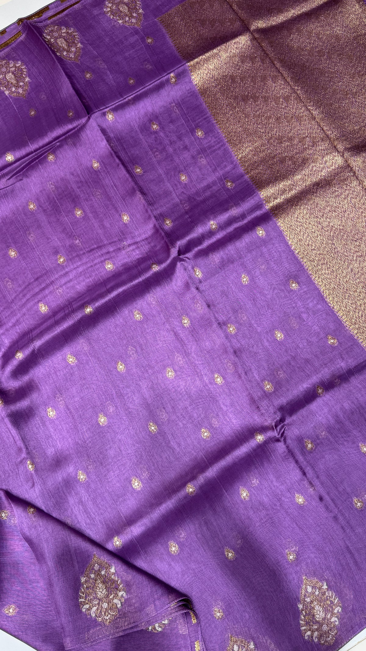 Tussar Georgette Saree with Motifs Embellished Border