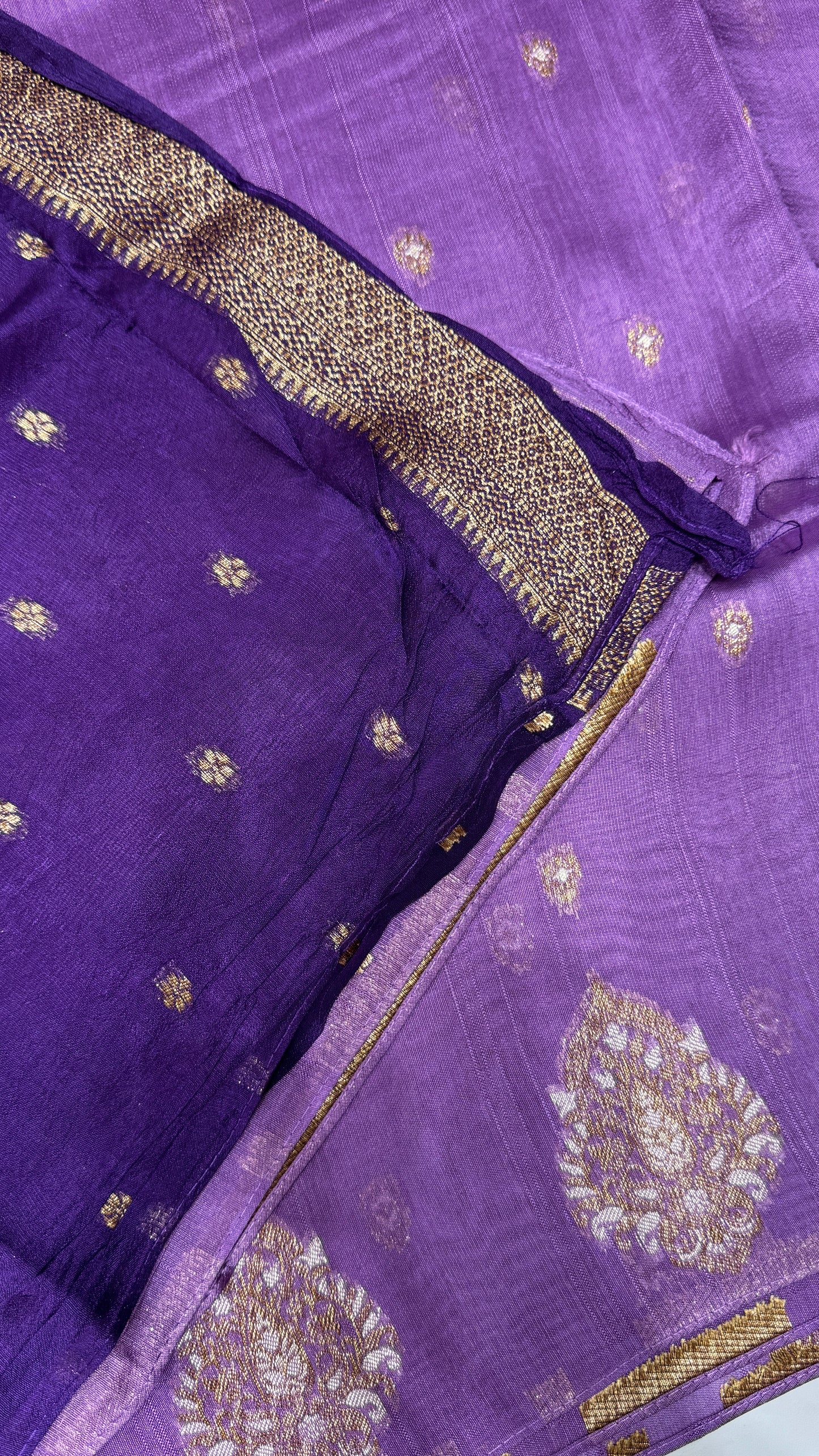 Tussar Georgette Saree with Motifs Embellished Border