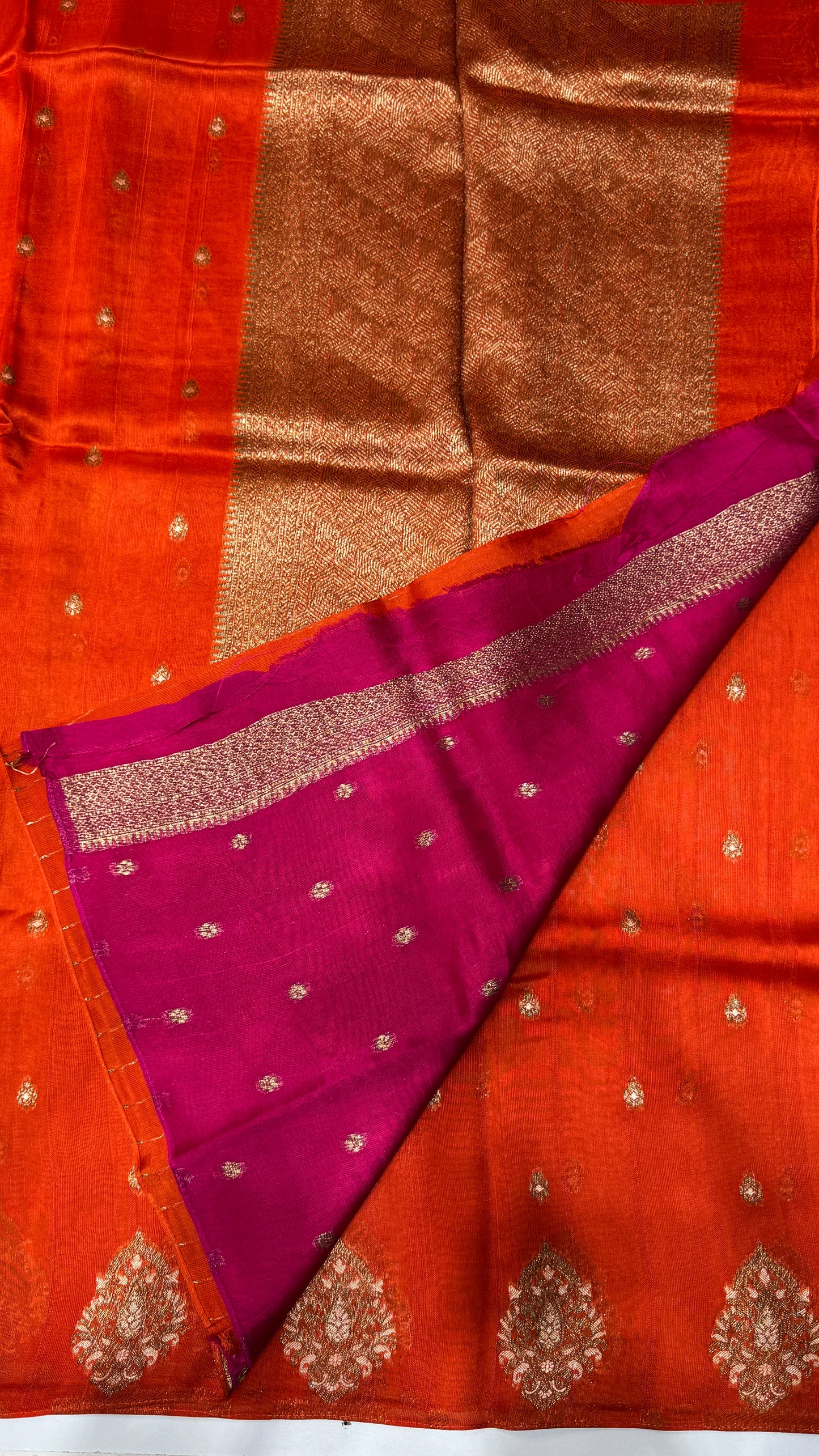 Tussar Georgette Saree with Motifs Embellished Border