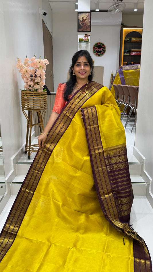 Buttas Pure Silk Cotton Saree