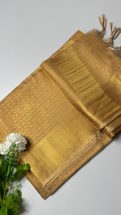 Tissue Silk Saree