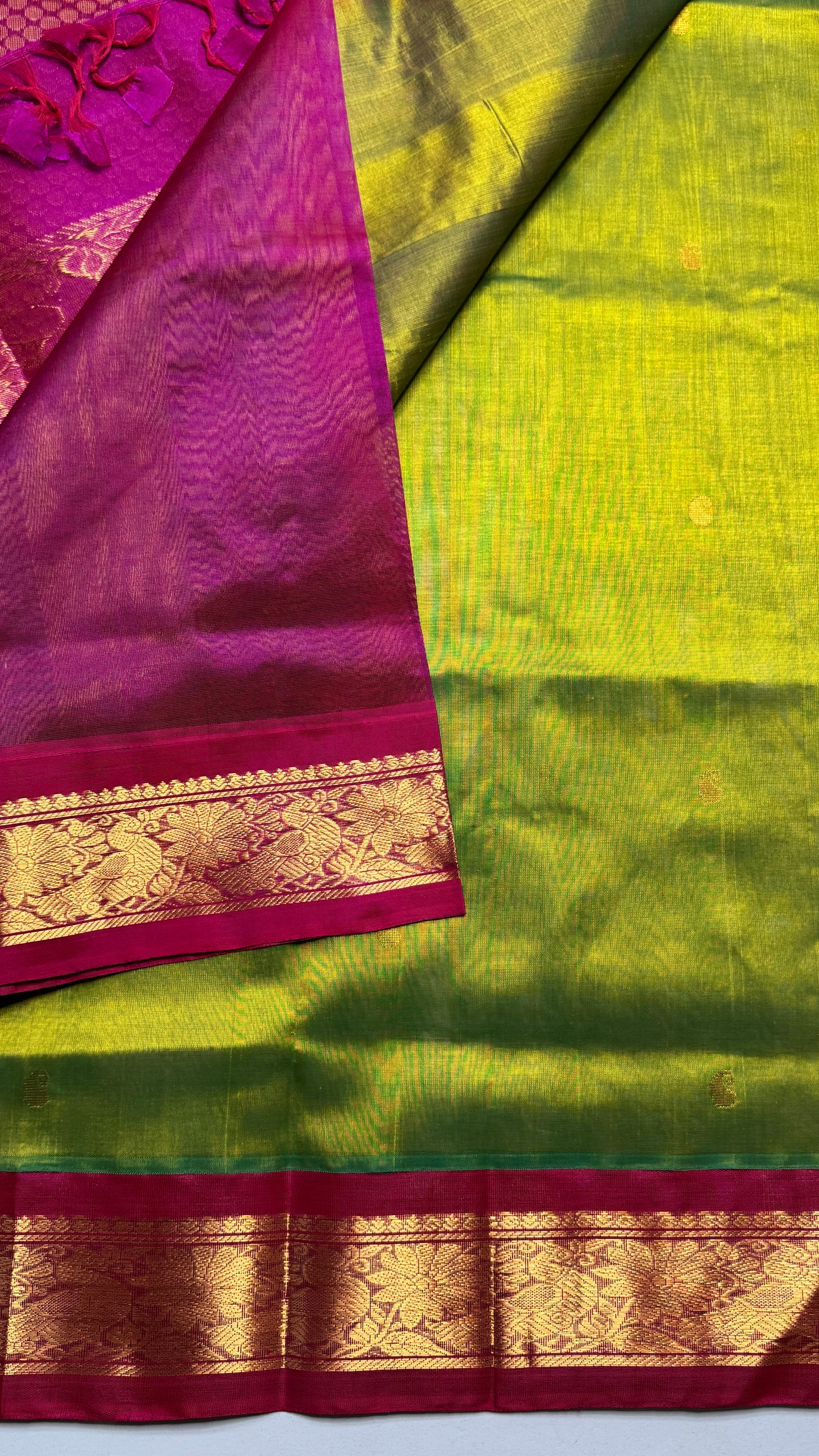 Buttas Pure Silk Cotton Saree