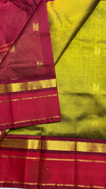 Buttas Pure Silk Cotton Saree