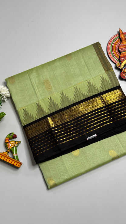 Buttas Pure Silk Cotton Saree