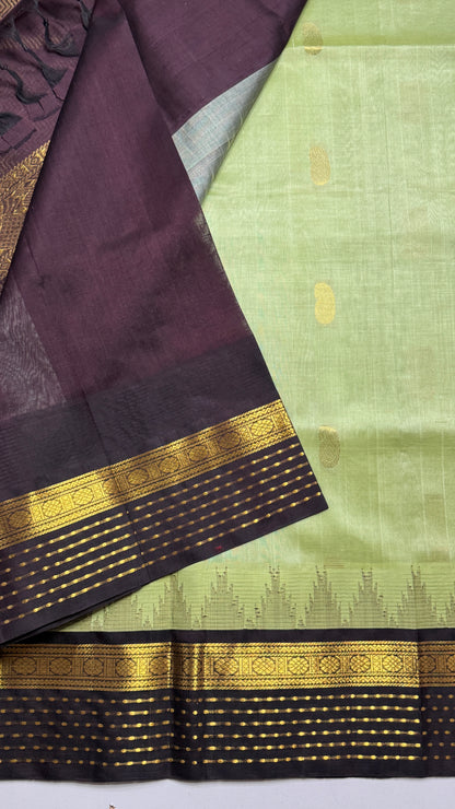Buttas Pure Silk Cotton Saree