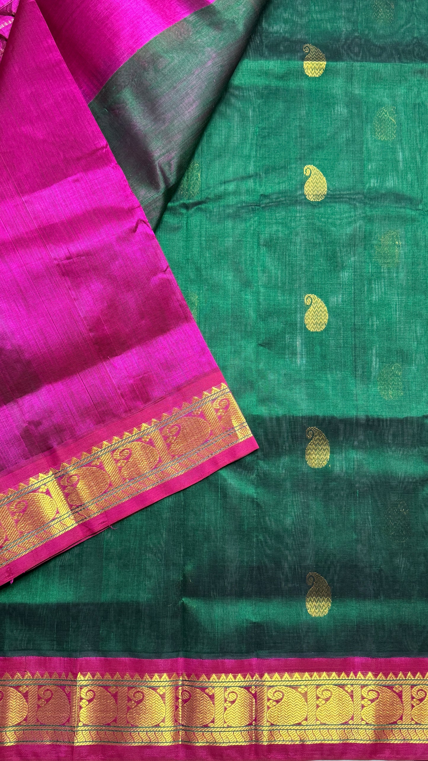 Buttas Pure Silk Cotton Saree