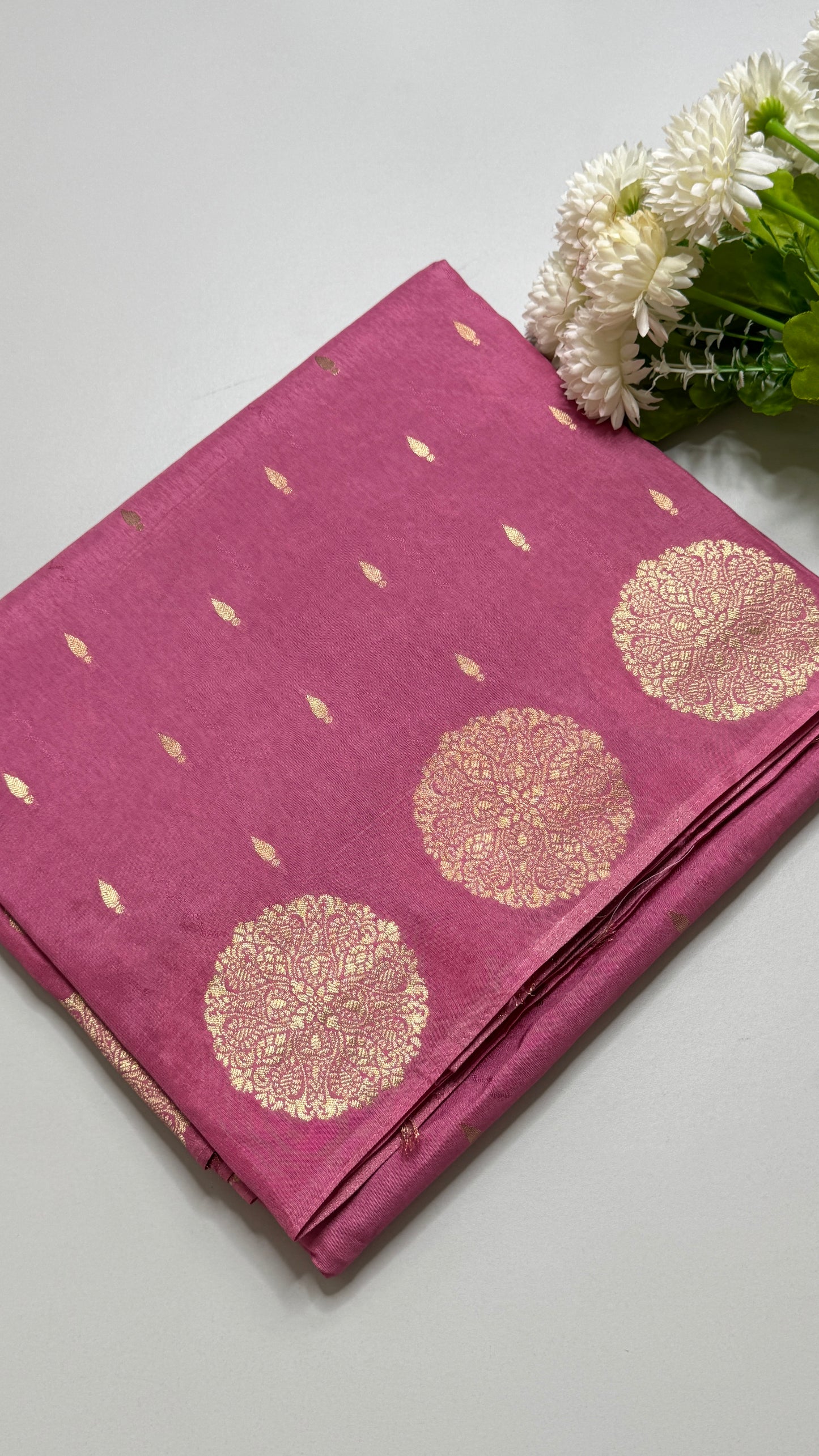 Semi Muga Silk Saree with Chakra Motif Border