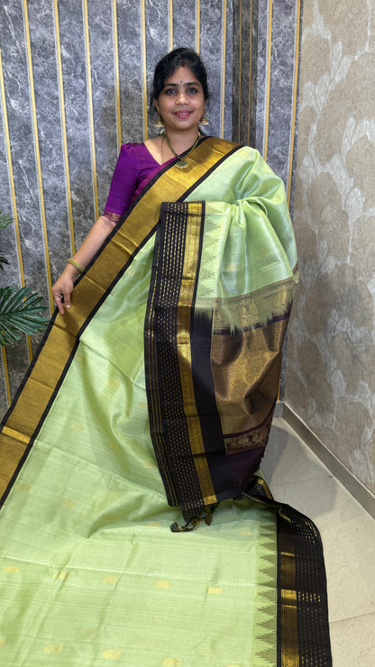 Buttas Pure Silk Cotton Saree