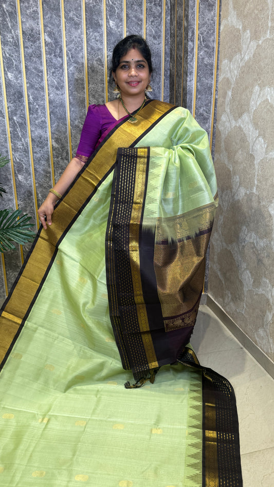Buttas Pure Silk Cotton Saree