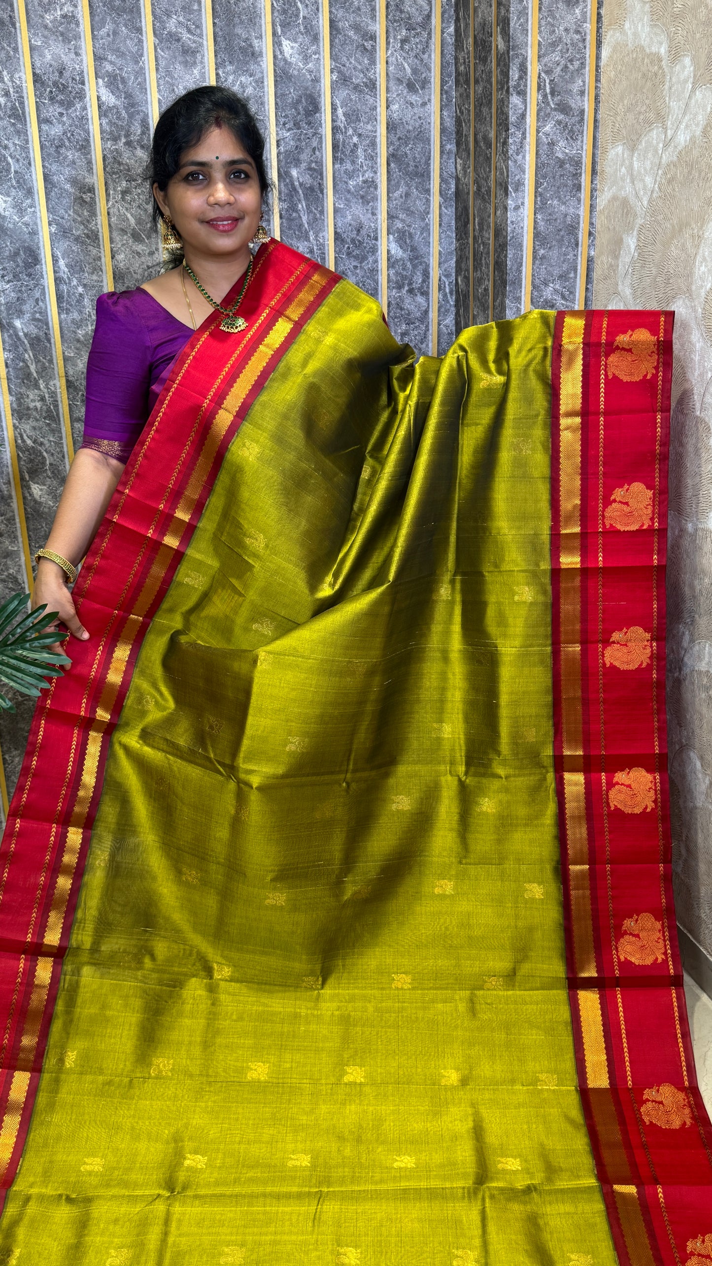 Buttas Pure Silk Cotton Saree