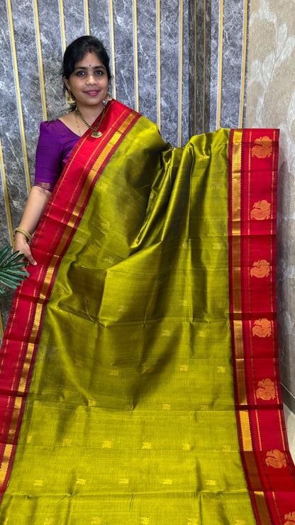 Buttas Pure Silk Cotton Saree