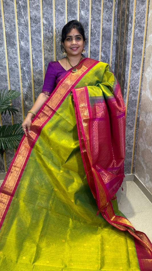 Buttas Pure Silk Cotton Saree