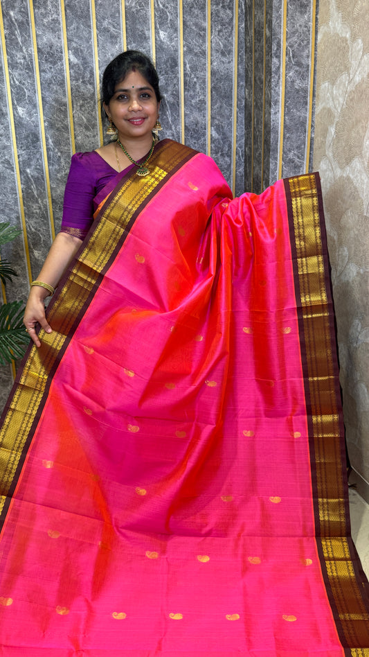 Buttas Pure Silk Cotton Saree