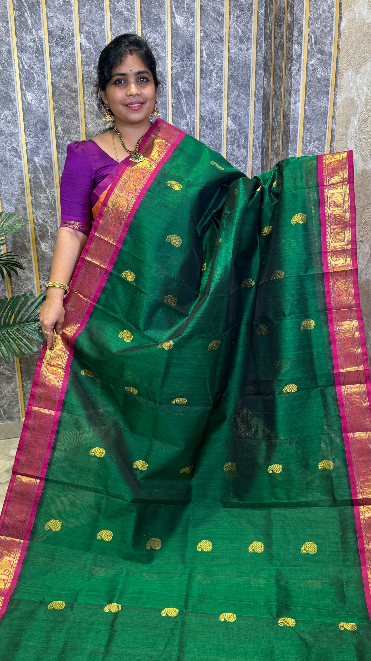 Buttas Pure Silk Cotton Saree