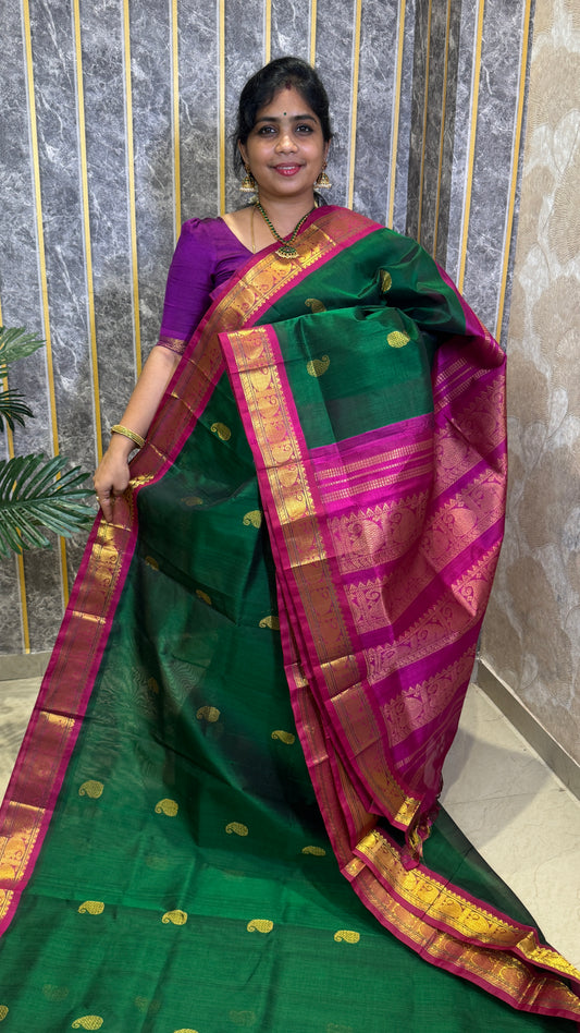 Buttas Pure Silk Cotton Saree