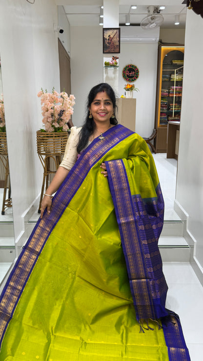 Plain Pure Silk Cotton Saree with Korvai Border