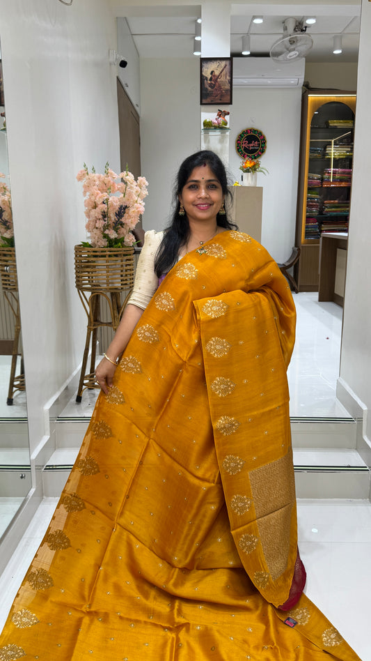 Tussar Georgette Saree with Motifs Embellished Border