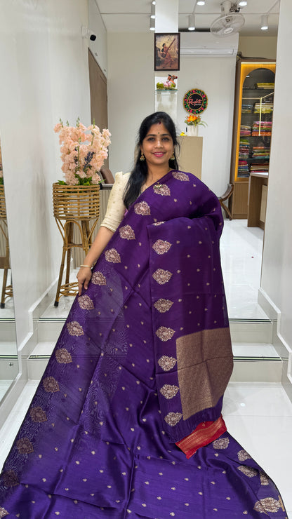 Tussar Georgette Saree with Motifs Embellished Border