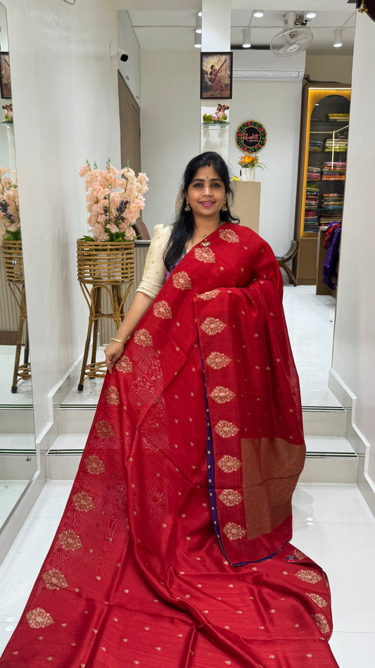 Tussar Georgette Saree with Motifs Embellished Border