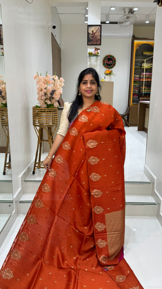 Tussar Georgette Saree with Motifs Embellished Border