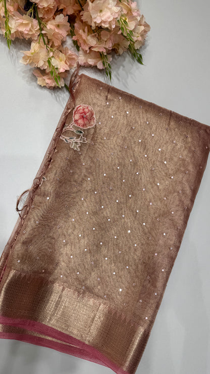 Tissue Silk Saree with Applique Work