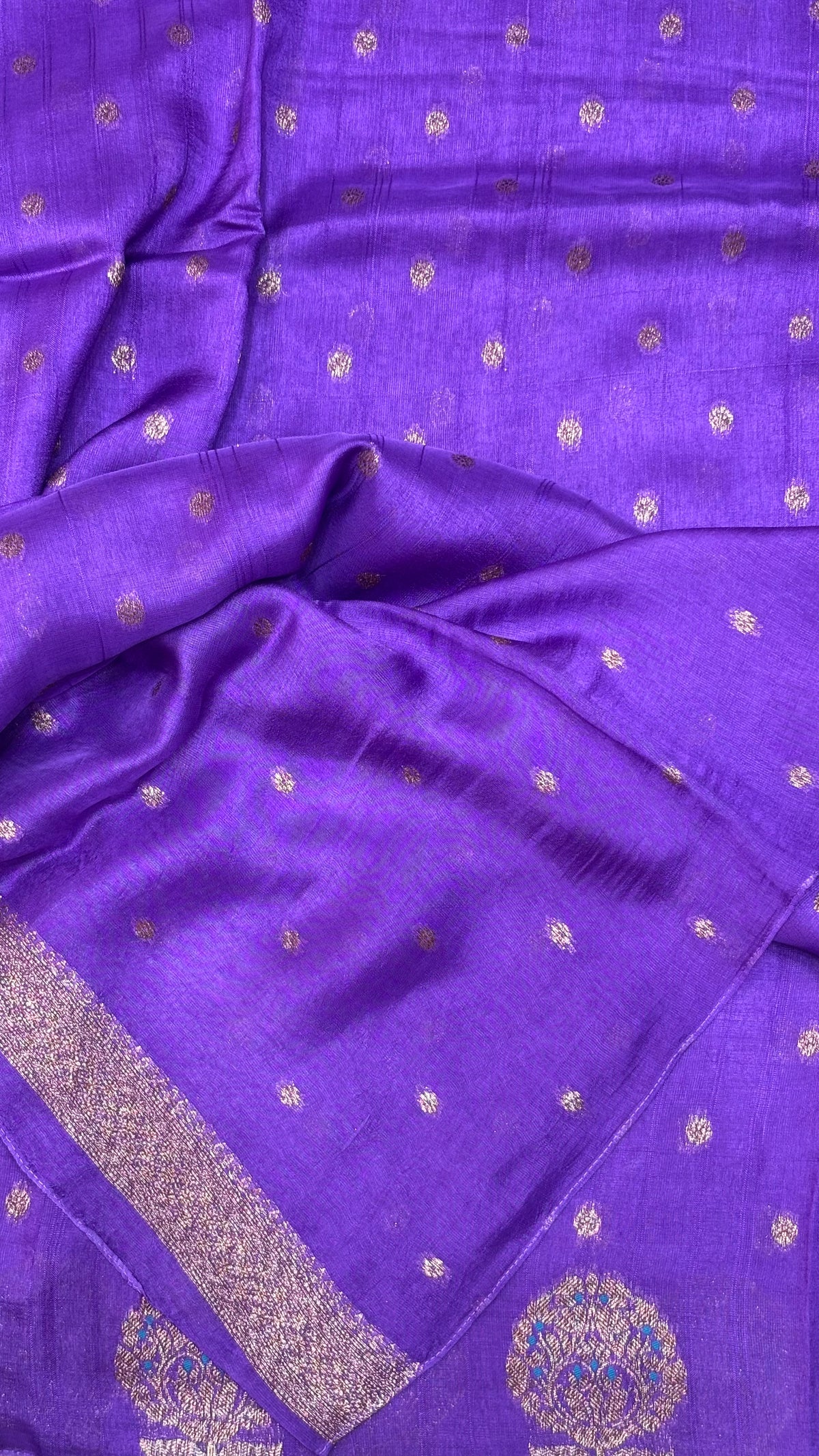 Tussar Georgette Saree with Motifs Embellished Border