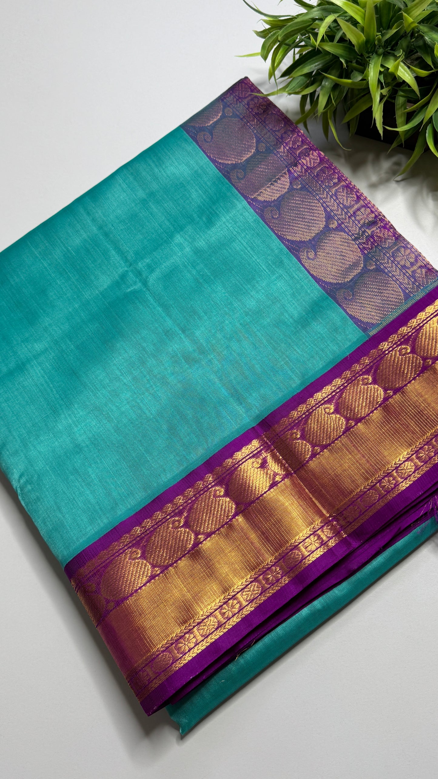 Plain Pure Silk Cotton Saree with Korvai Border