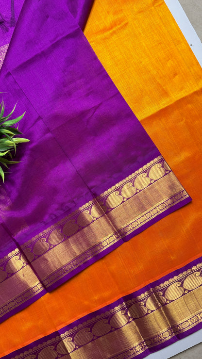 Plain Pure Silk Cotton Saree with Korvai Border