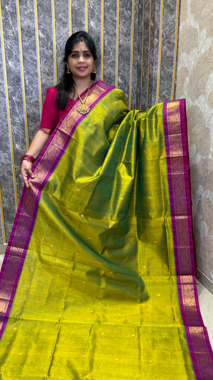 Buttas Pure Silk Cotton Saree