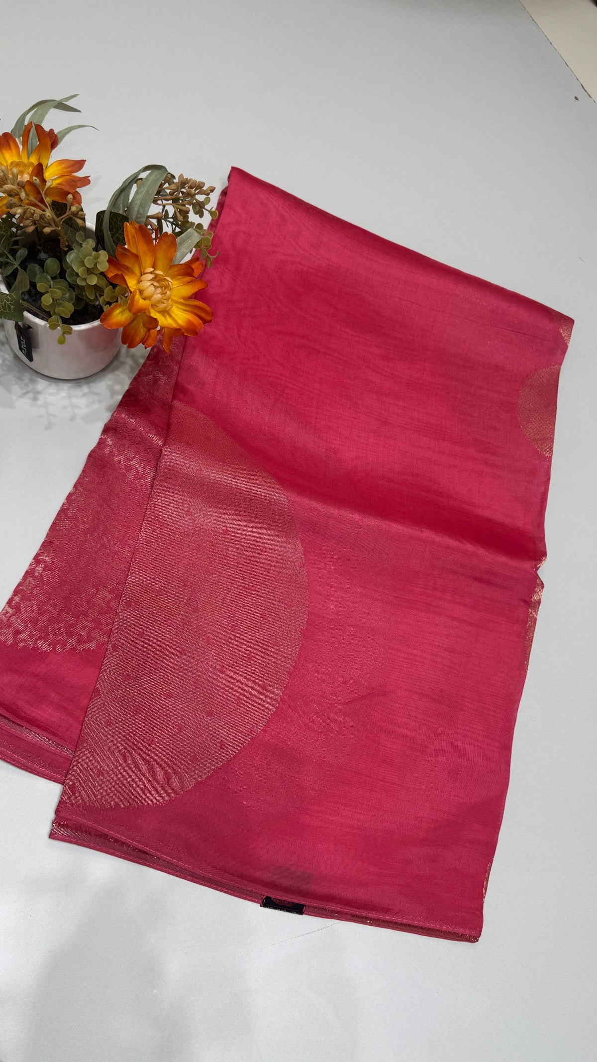 Borderless Tussar Georgette Saree