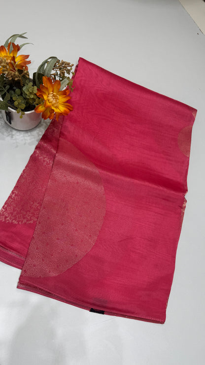 Borderless Tussar Georgette Saree