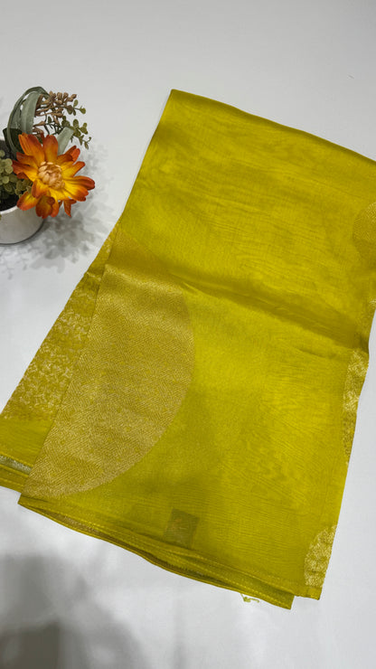 Borderless Tussar Georgette Saree