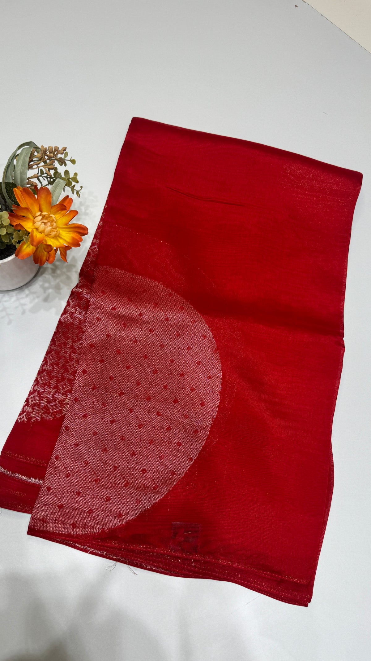Borderless Tussar Georgette Saree