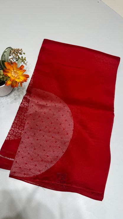 Borderless Tussar Georgette Saree