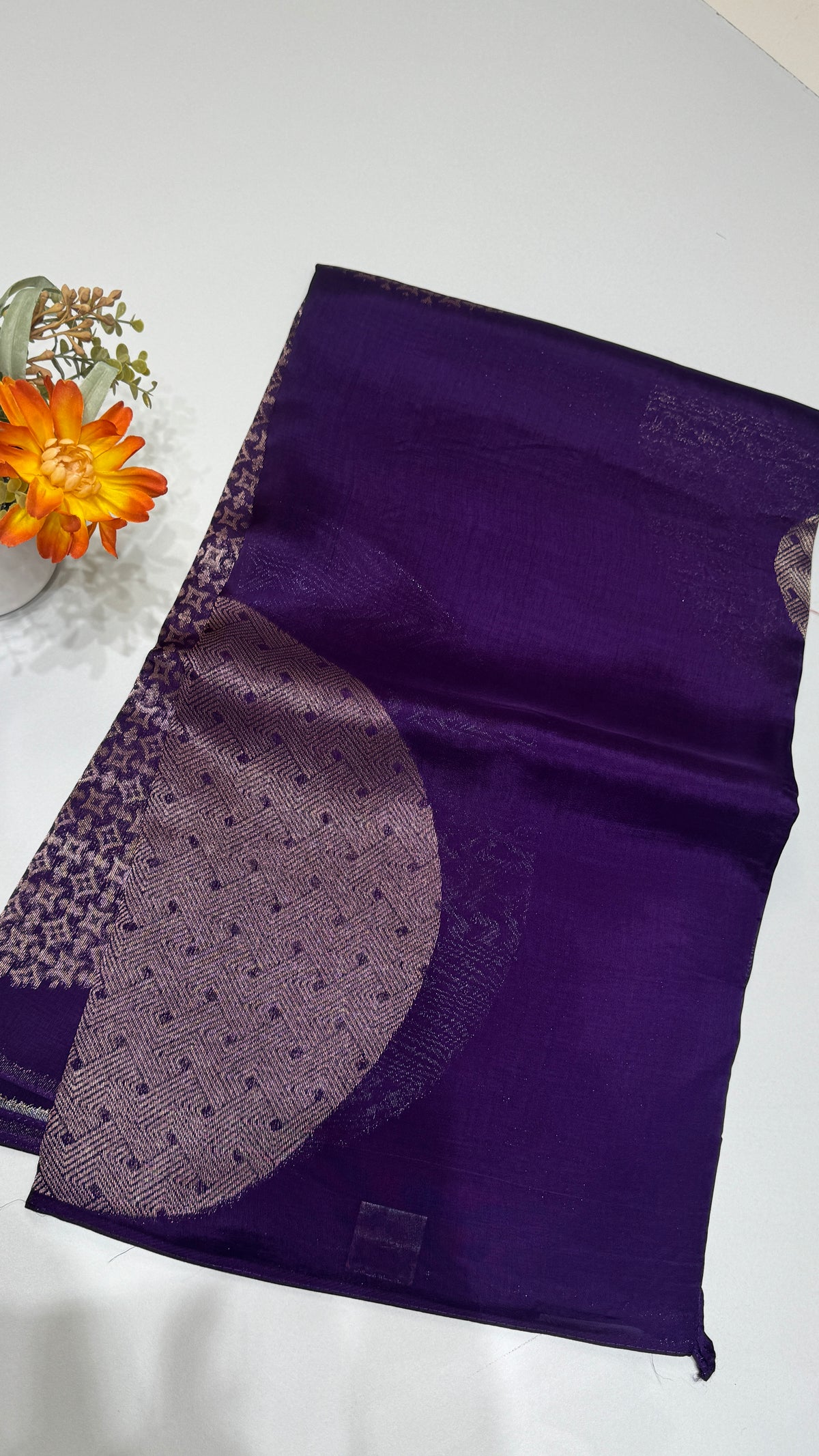 Borderless Tussar Georgette Saree