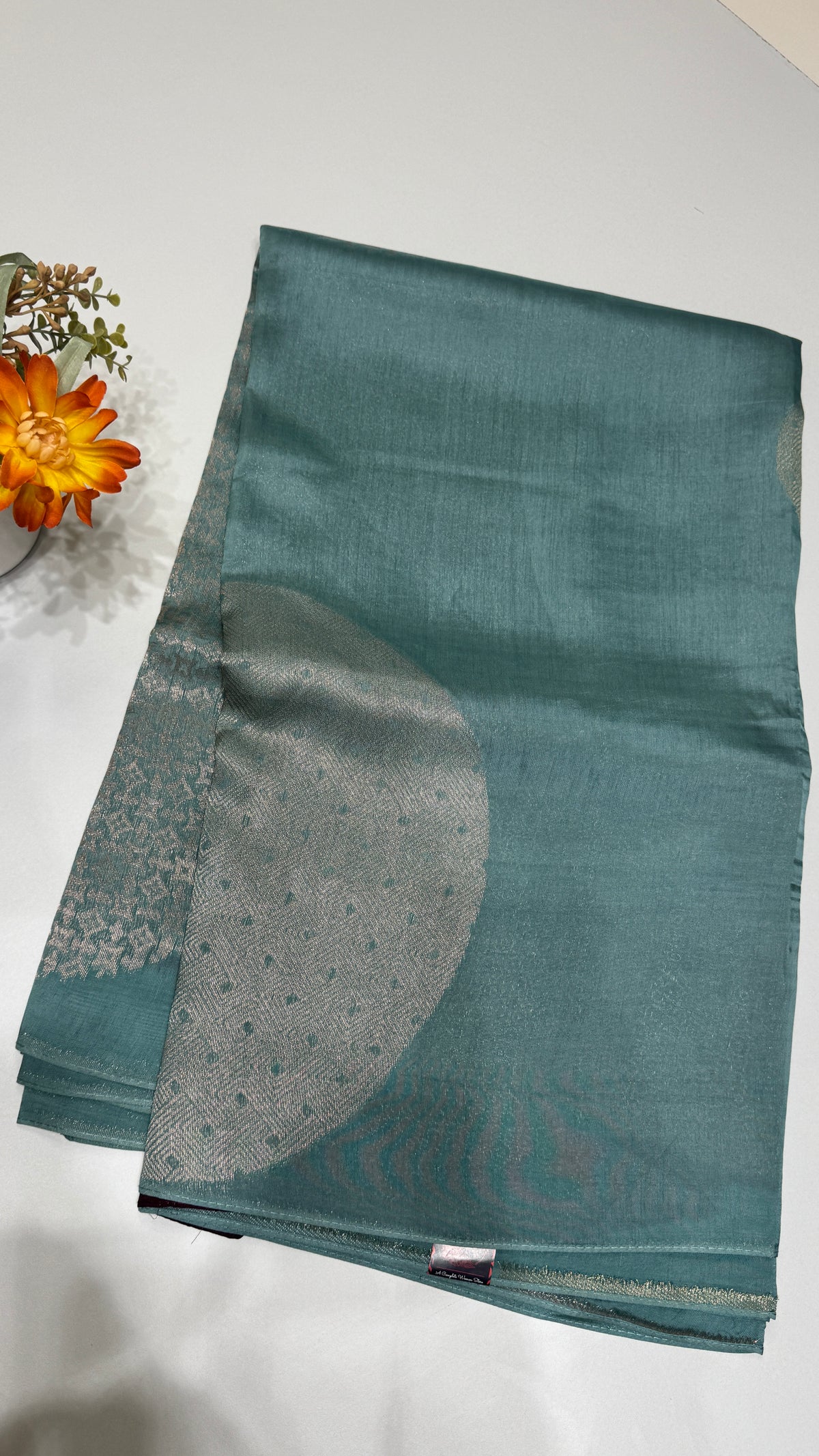 Borderless Tussar Georgette Saree