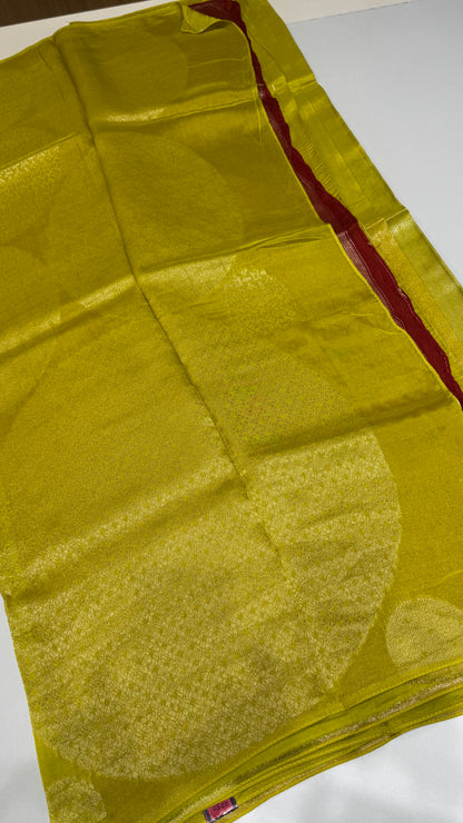 Borderless Tussar Georgette Saree