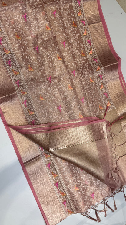 Tissue Organza Saree