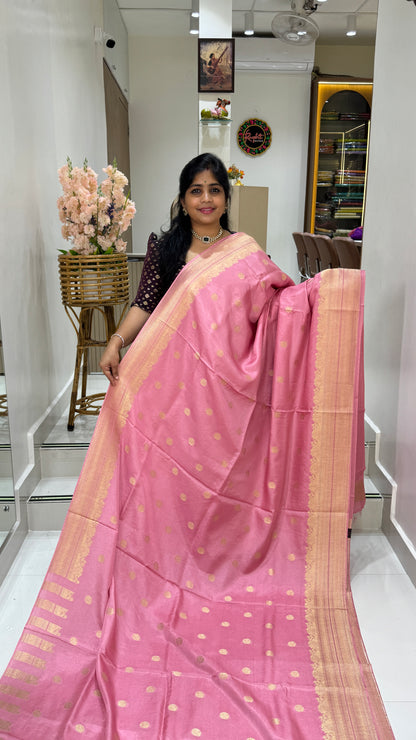 Tussar Georgette Saree with Border