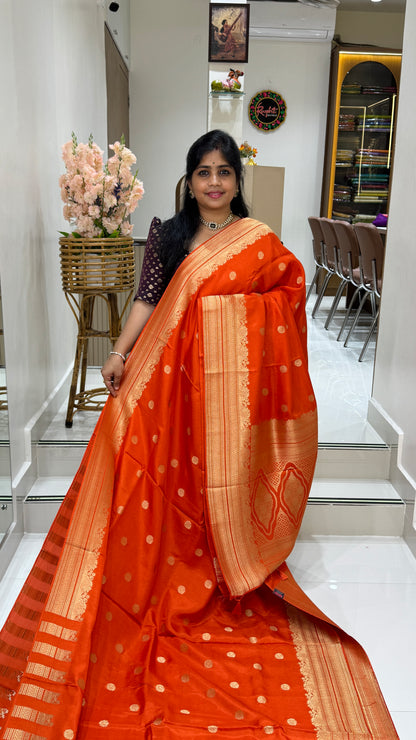 Tussar Georgette Saree with Border
