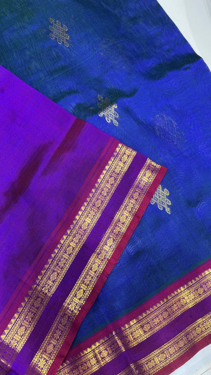 Kolam Pure handloom Silk cotton saree